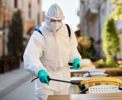 Professional Pest Control Service